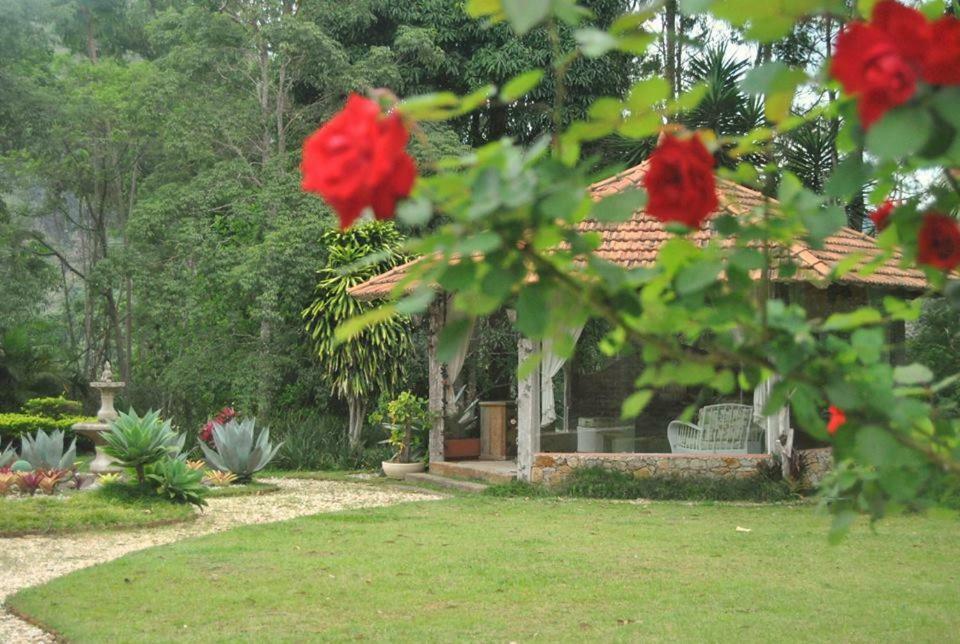 Pousada Quinta Dos Passaros Itaipava מראה חיצוני תמונה